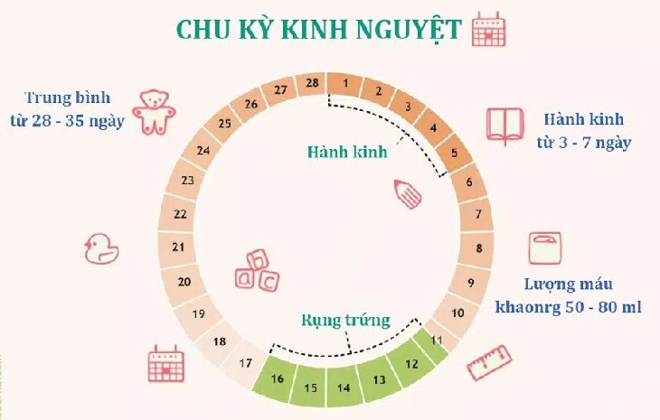 5 thuốc cần tránh trong chu kỳ kinh nguyệt