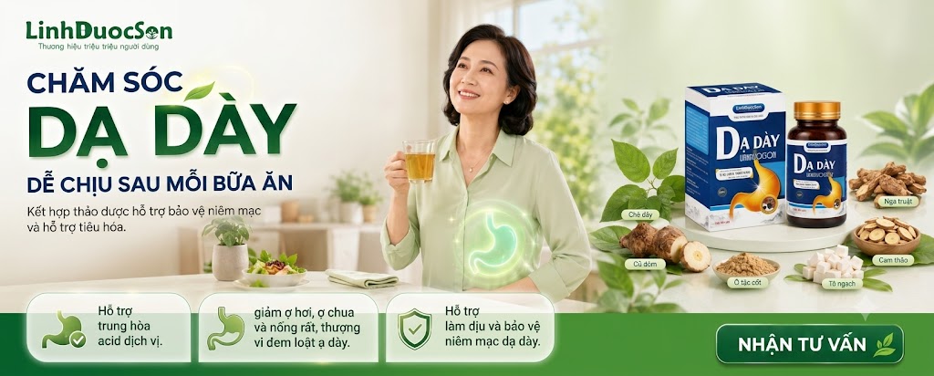 Dạ dày linh dược sơn