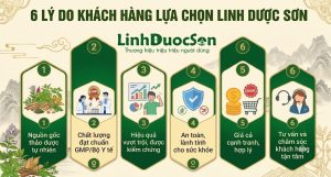 6 LÝ DO KHÁCH HÀNG TIN CHỌN LINH DƯỢC SƠN