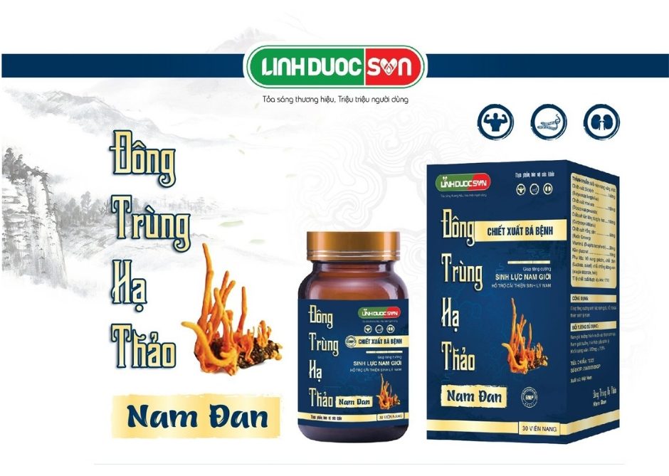 Đông trùng hạ thảo nam đan