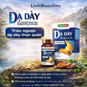 dạ dày linh dược sơn là gì