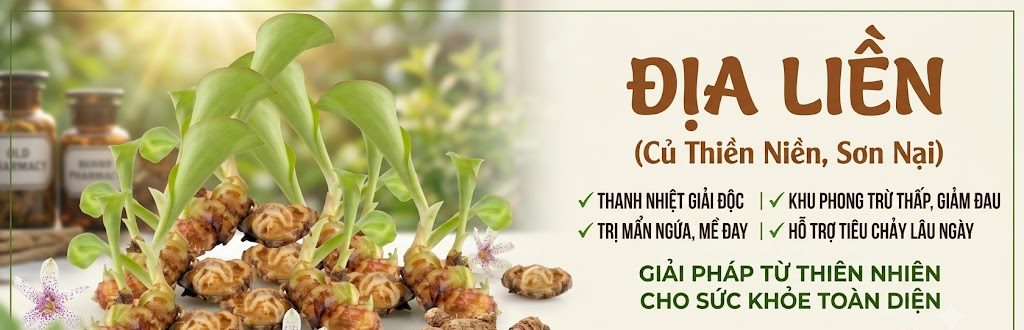 banner địa liền