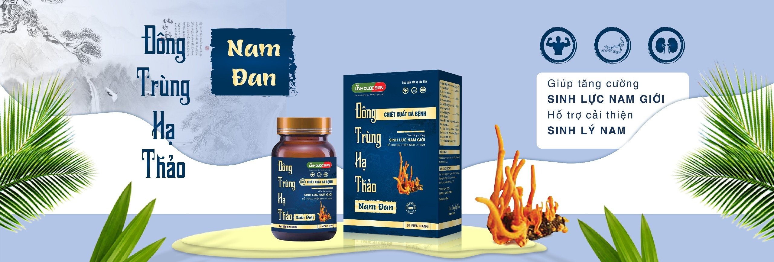Vì sao sử dụng Đông Trùng Hạ Thảo Nam Đan thời gian đầu thấy yếu hơn